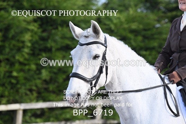BPP_6719 - RING 1  (RIDDEN HORSES / IN HAND / VETERAN ETC)