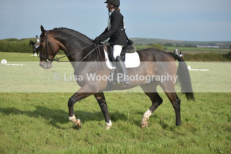 RAY_7974 - Class 2B: Trekenning Open: Dressage