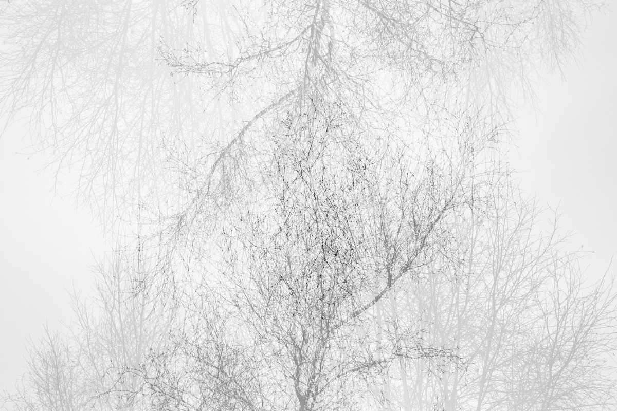 Apperception - Revealed