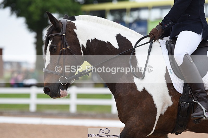 230708A-111452-01537 - Prelim 7