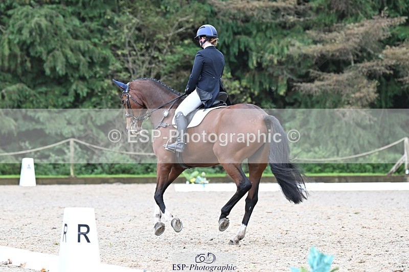 231019-113855-01865 - 040-DODINGTON-Sophie.Wildern-DR