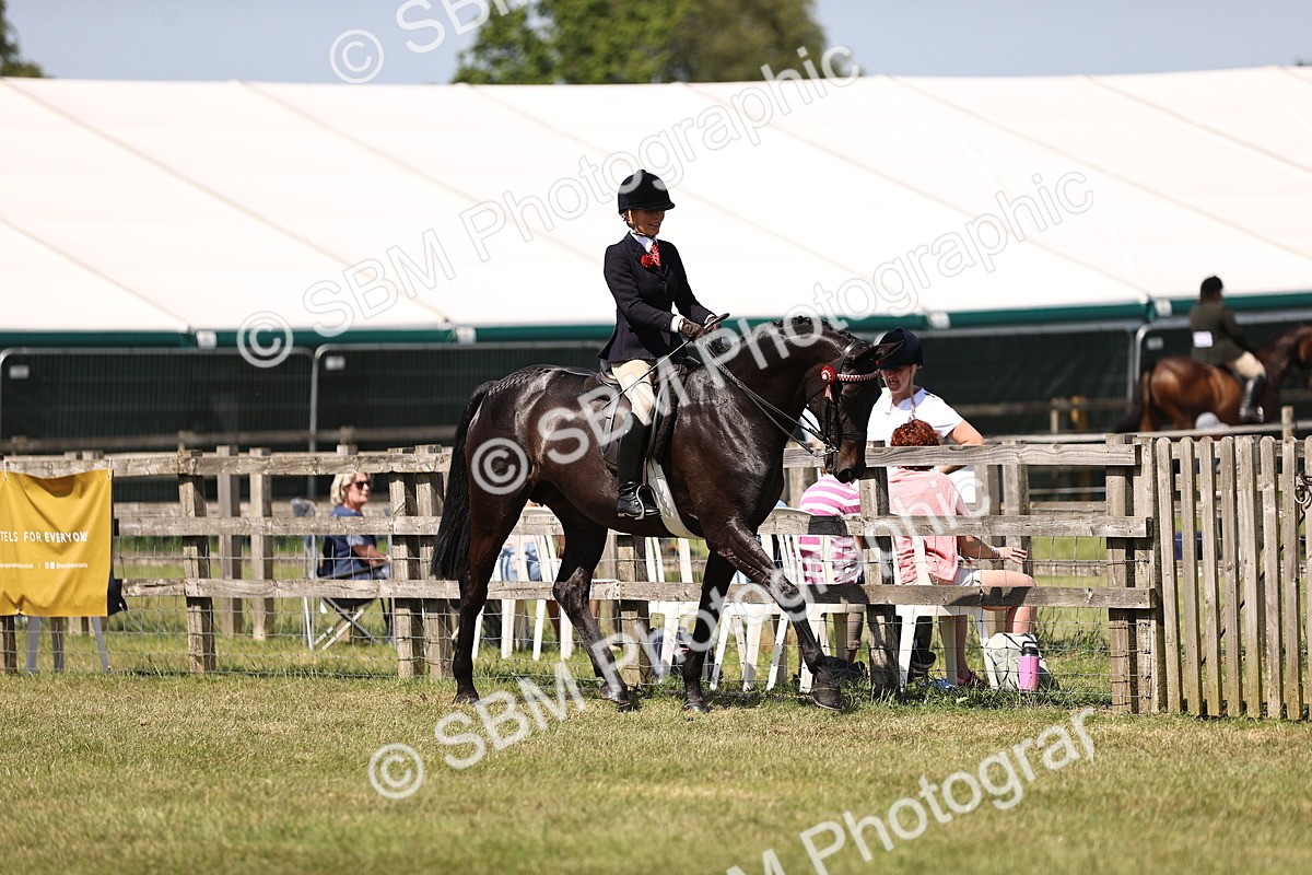 SBM_17967 - Class 81-83 - TSR Ridden Amateur of the Year - Horses
