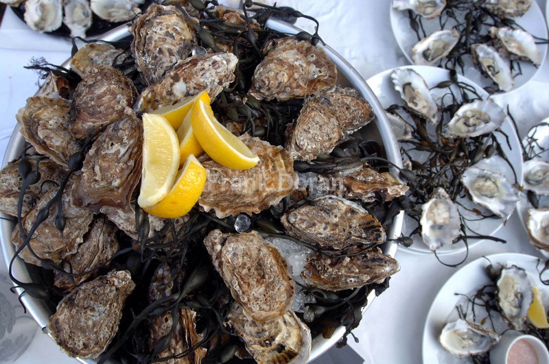 Oysters - Frank Doran