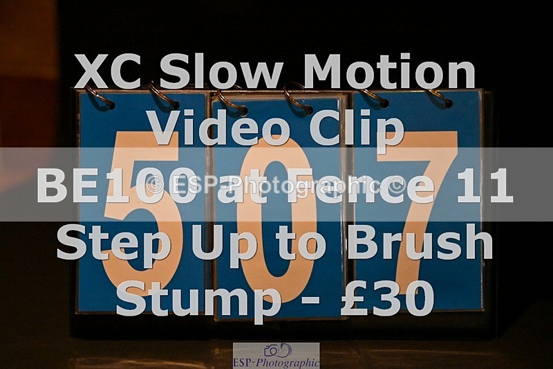 ESP_507 - 507-Emilia.Pritchard-EMBEZZLED.LAW