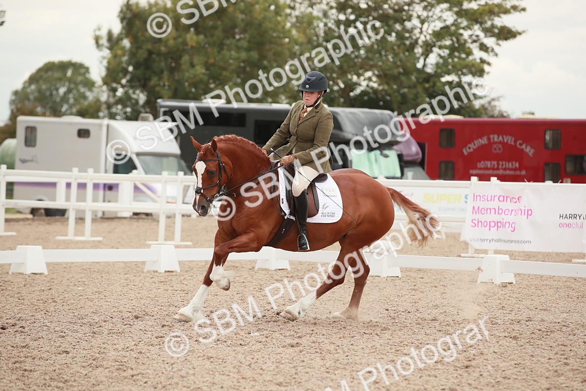 SBM_06106 - Class 33 - Elementary 1