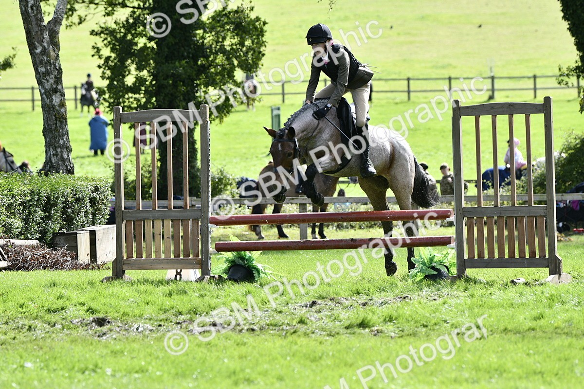 SBM_45672 - S33 - Working Hunter Pony