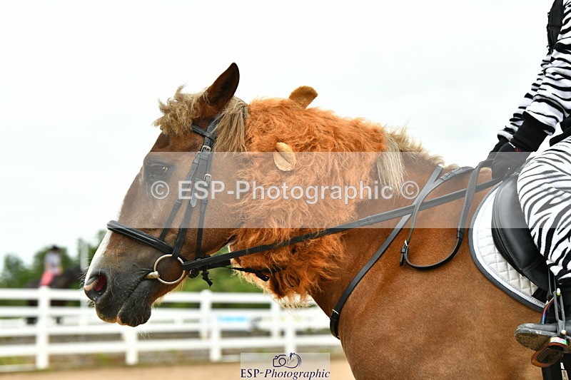 230804A-105707-02060 - Musical Ride