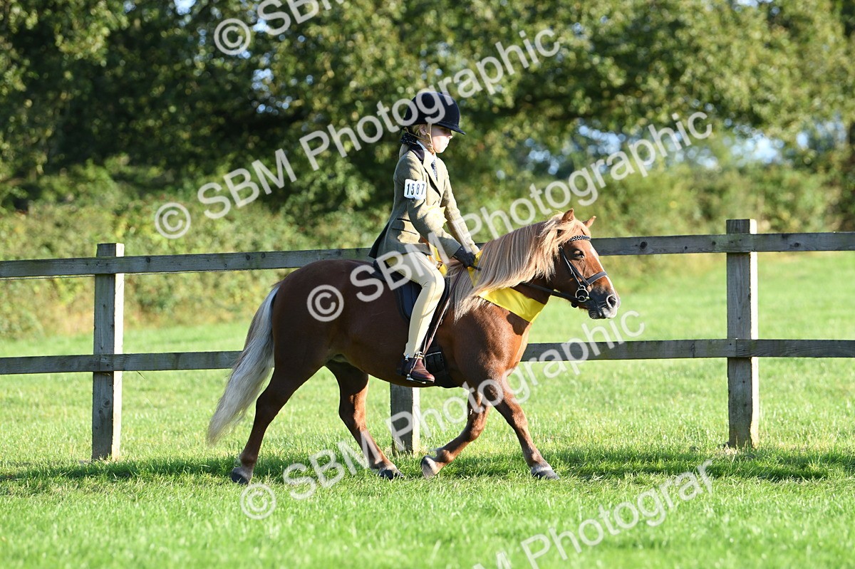SBM_56401 - 1st Ridden Supreme Championship