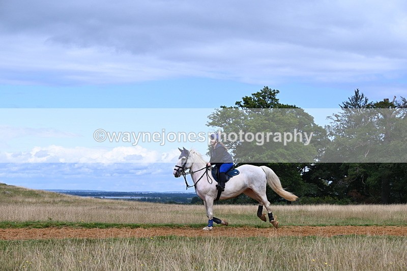DSC_8802 - Time at Statue 14:33 to 15:10