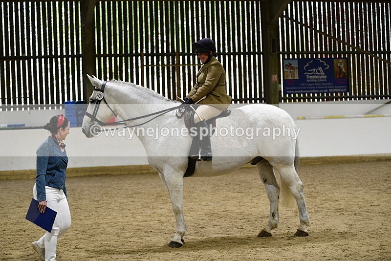WJ5_9026 - Class 15 Ridden Show Horse
