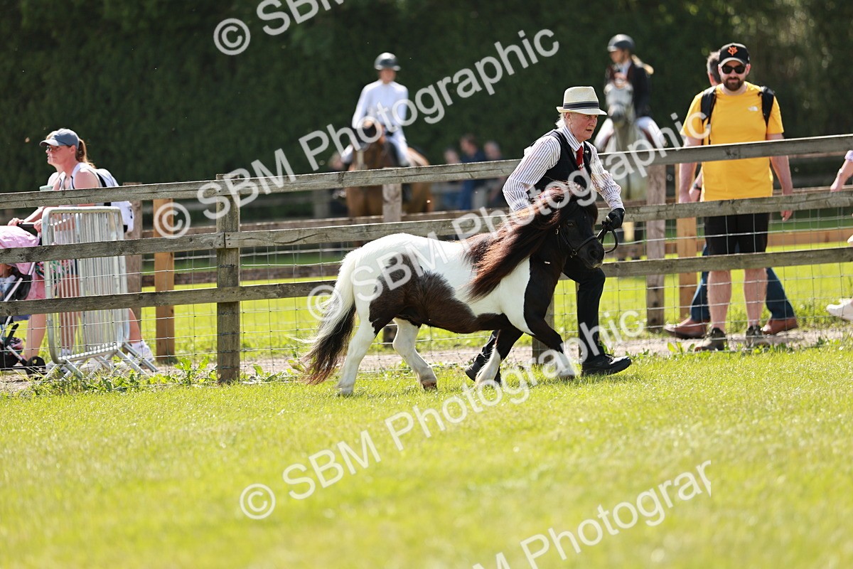 SBM_02495 - Class 14-23 - Mountain & Moorland In Hand Non Welsh