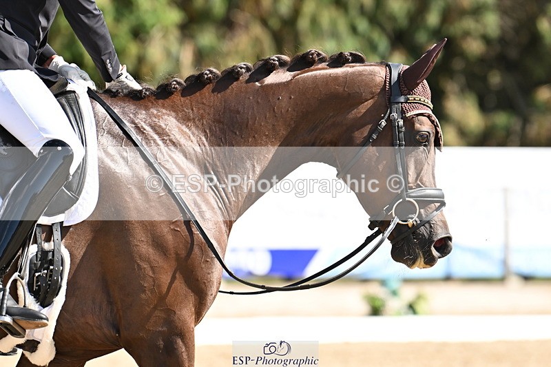 250808A-154658-01747 - 124-Mark.ForrestMarchioness.De.Fleurs