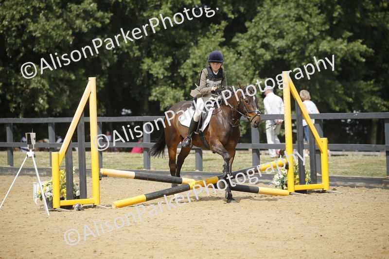 20250622-4030 - 50cm