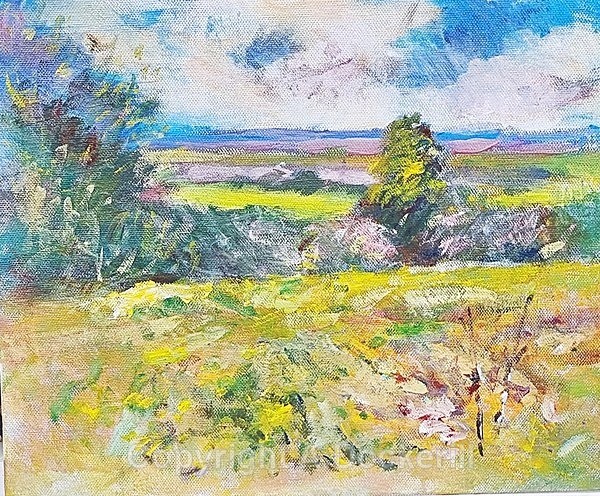 Aldreth Rd Haddenham - Acrylic Paintings