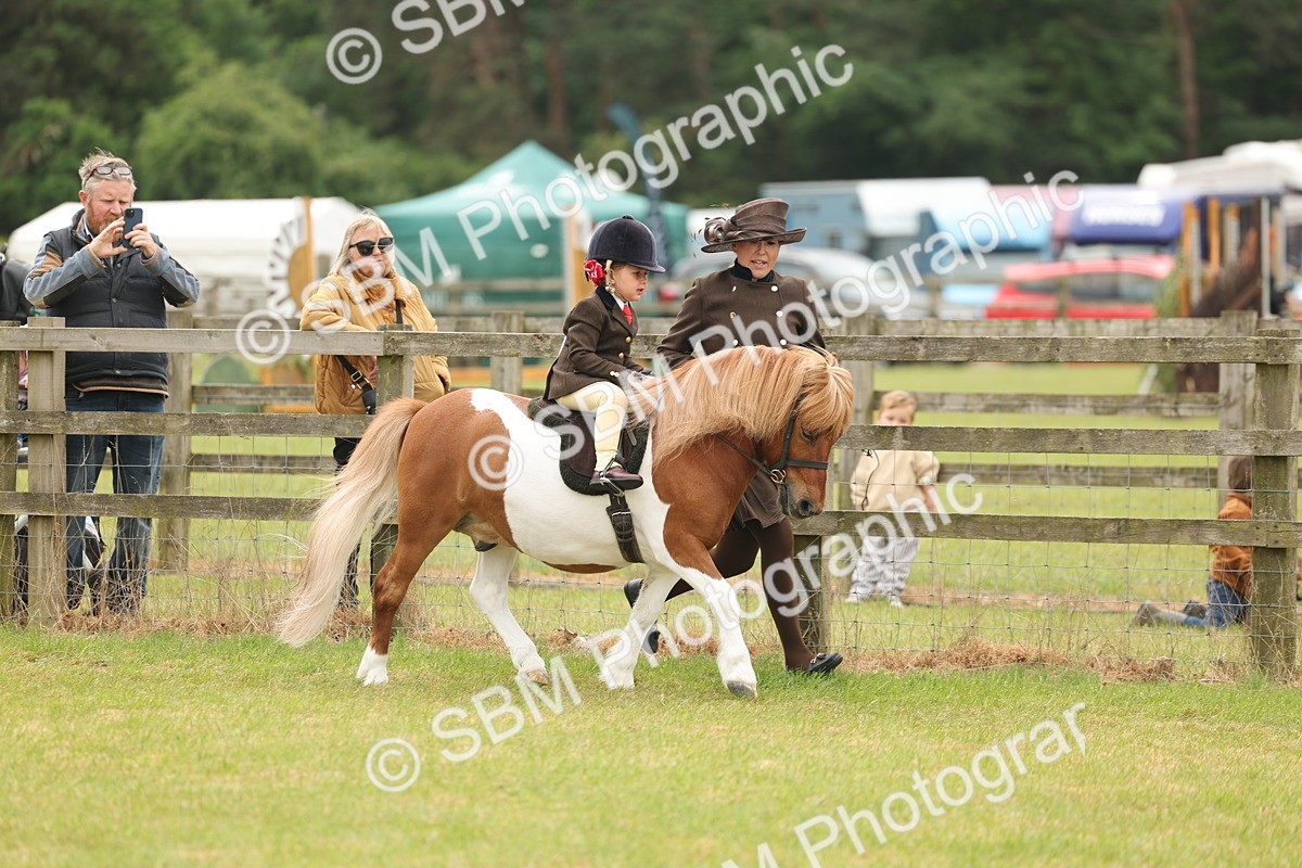 SBM_06656 - Class 74-75 - M&M Lead Rein and First Ridden Pony