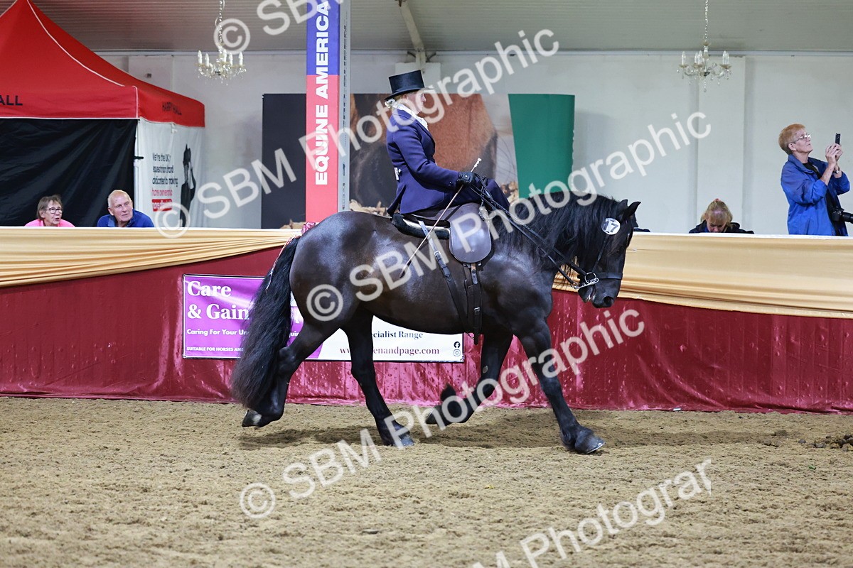 SBM_20956 - Class N - Side Saddle Champ