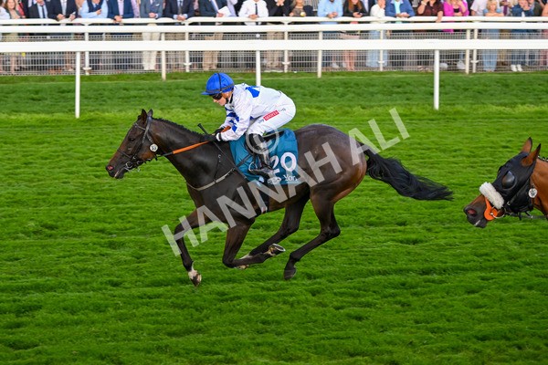 260724-Race 4-Dicko The Legend-5243 - Race 4 7.15pm Tomahawk Restaurants Handicap