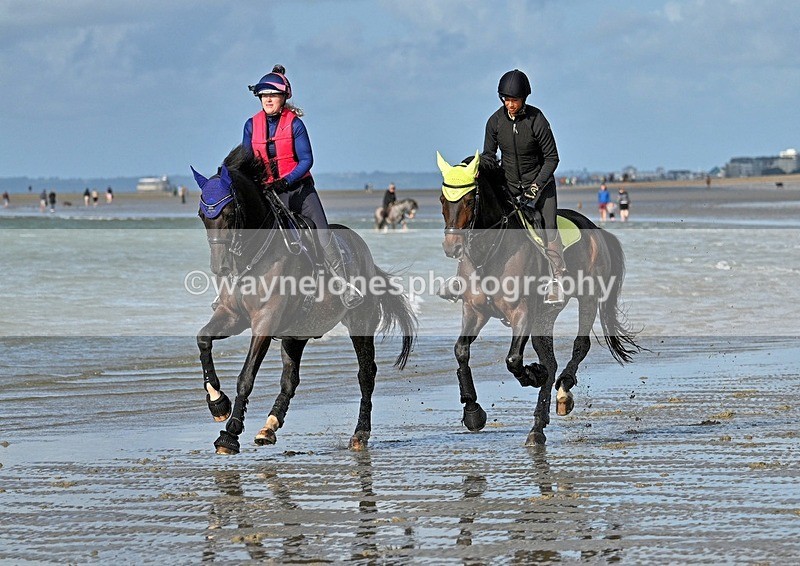 WJ7_4402_1 - Kellie & Churchill ... do Hayling Island 25-08-24