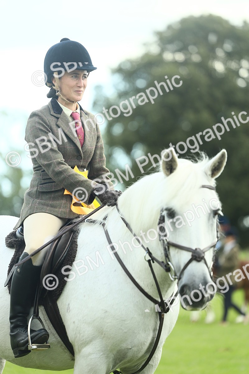 SBM_42199 - S29 - Novice & Newcomers Working Hunter Pony