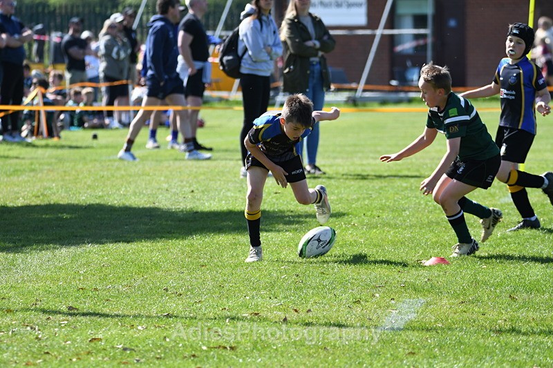  - Selby Rugby Festival 2025