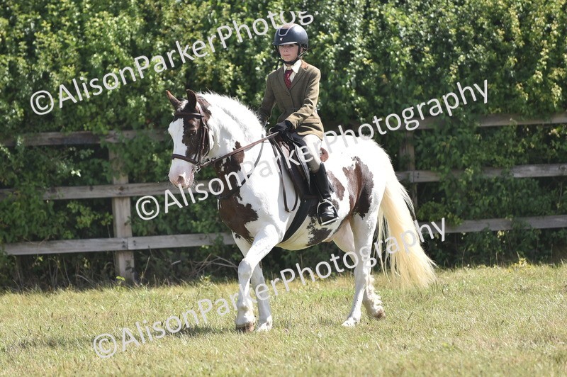 20260906-2629 - Class 12 - 14.2hh and Under