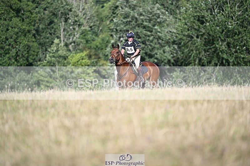 250803A-174031-18466 - R-815-Katie.Hoare-MULBERRY.STAR