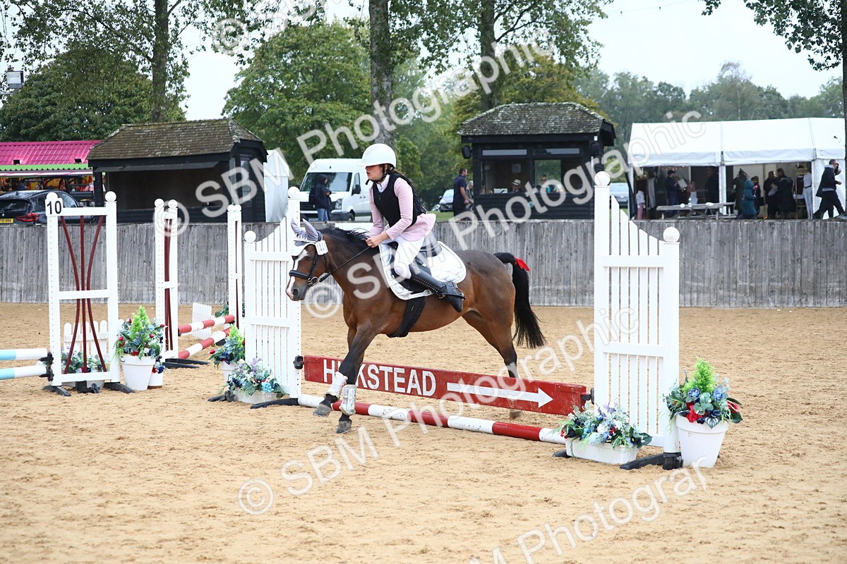 SBM_71613 - J4 - Mini Tour Junior Pony 45cm Championship