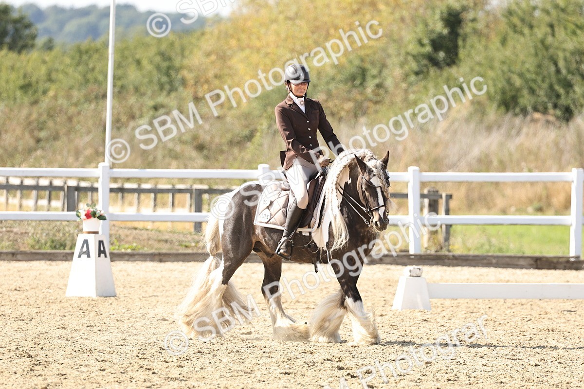 SBM_015276 - Class 9 - Advanced medium 3