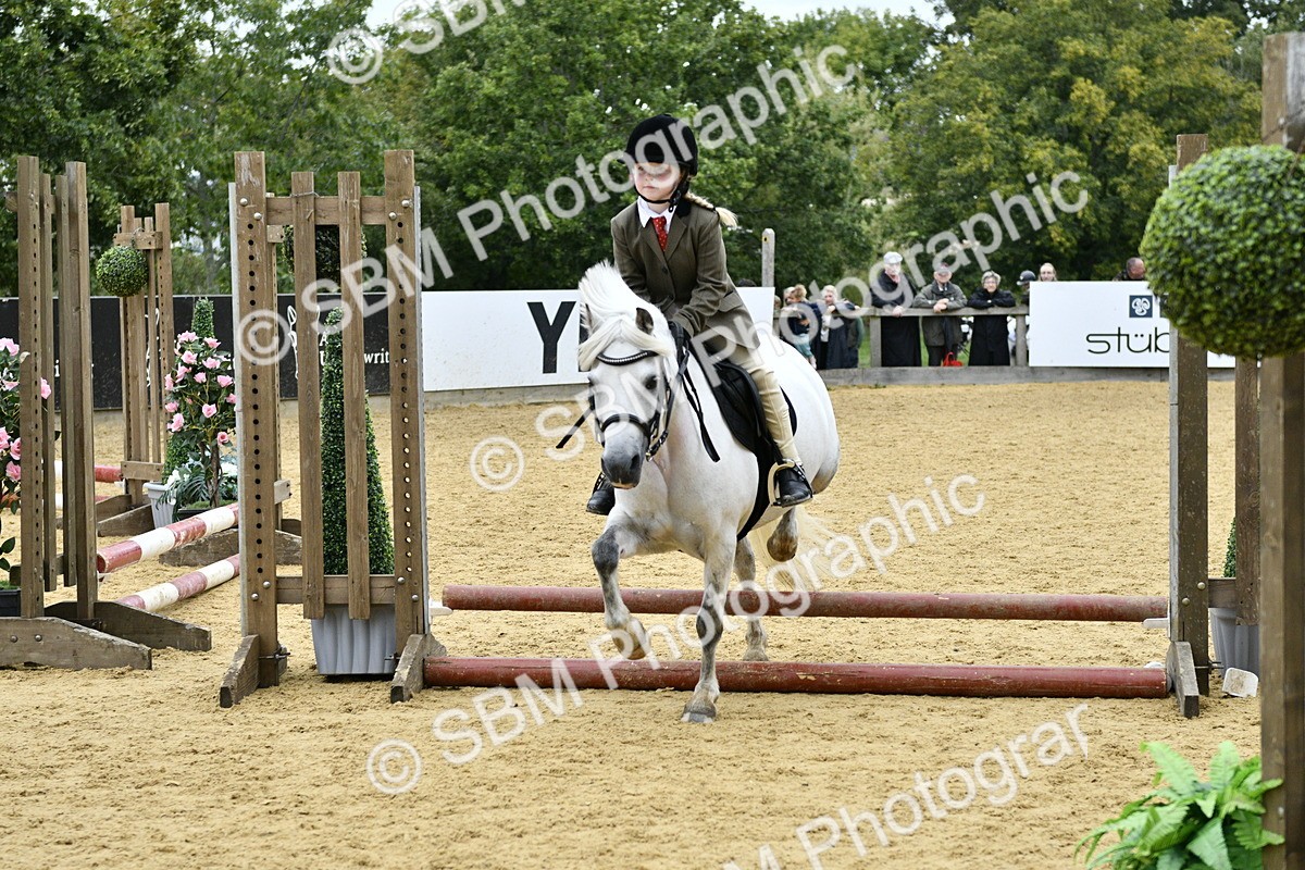 SBM_68015 - J2b - Mini Tour Junior Pony 30cm championship