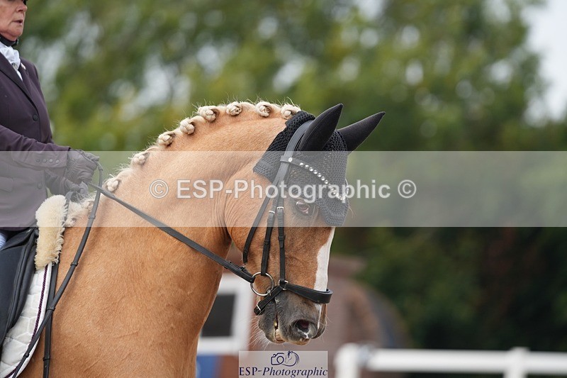 250907-152917-09542 - 121-Jodie.SmithAmber