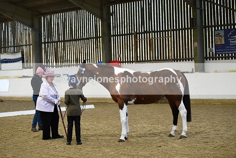 WJ5_3811 - Class 5 In Hand Veterans