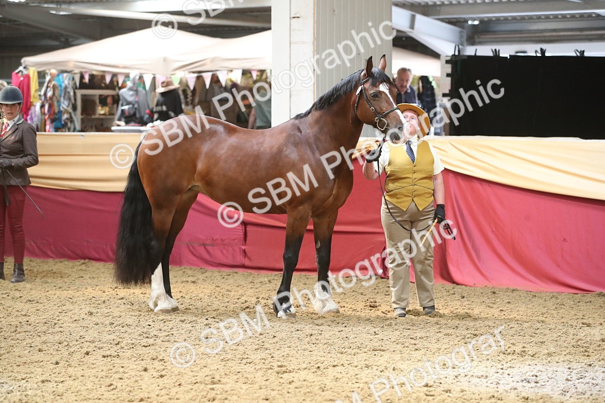 SBM_05564 - Class 9R - Regional IH Pre-Vet