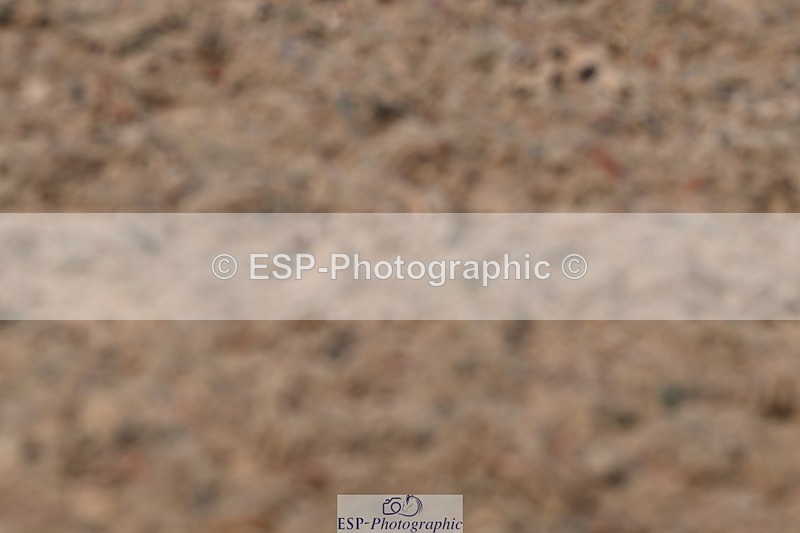 250621-154027-11862 - Cls 33 - Medium 6