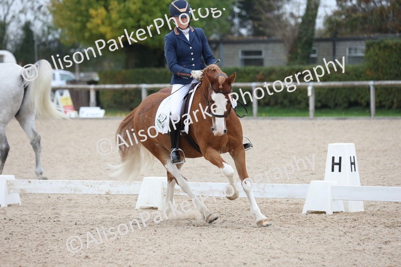 20251011-0405 - Class 4 - Novice 2