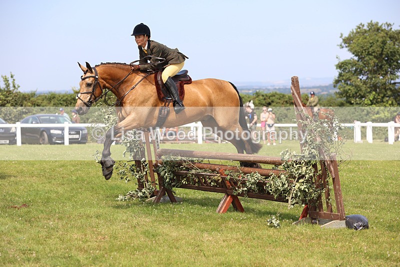 JPP_3732 - Class 23: Working Hunter 80cm