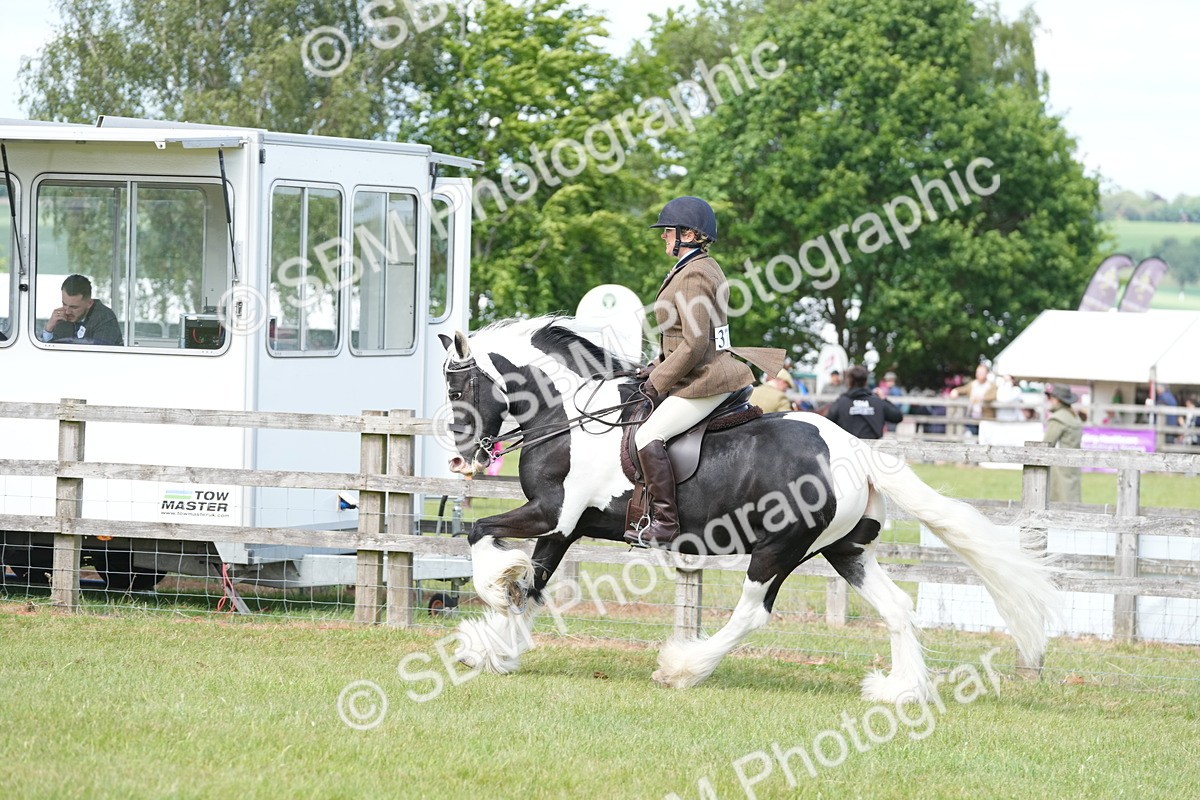 SBM_17165 - Class 107-108 - LIHS BSPS Performance Coloured Horse Pony