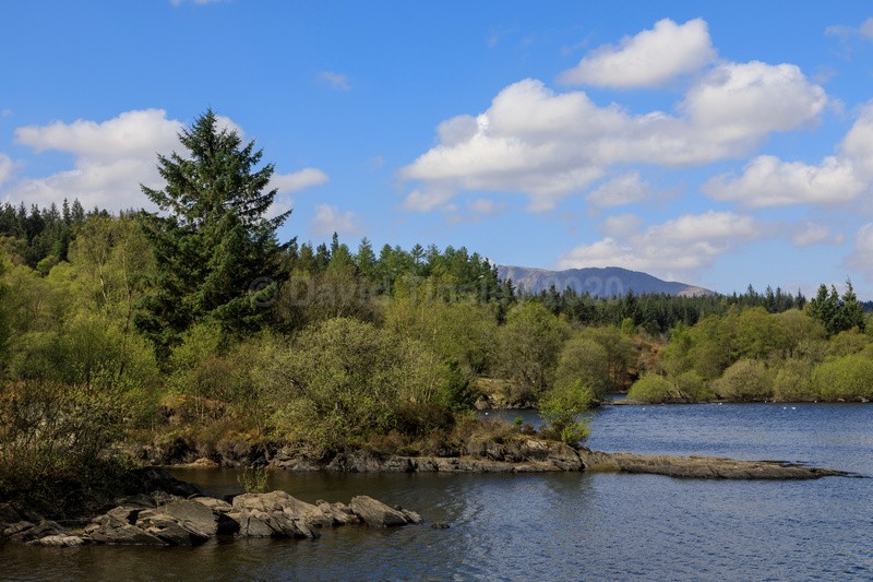 Llyn Elsi 3 - North Wales