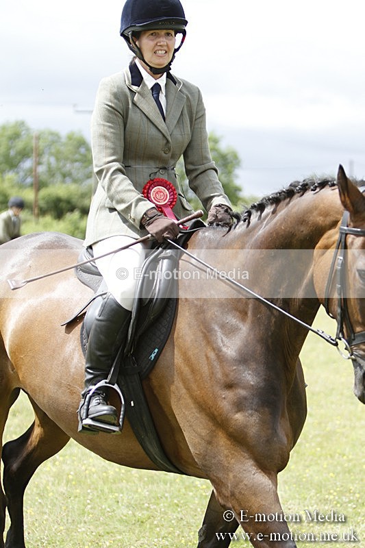 BVR160717-1867 - Ring 3 BVRC Show 16/07/17