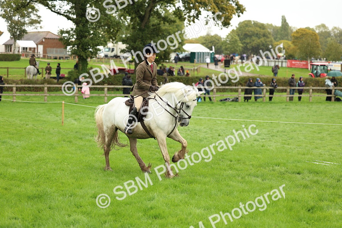 1I0A1477 - S32 - Mountain & Moorland Working Hunter Pony