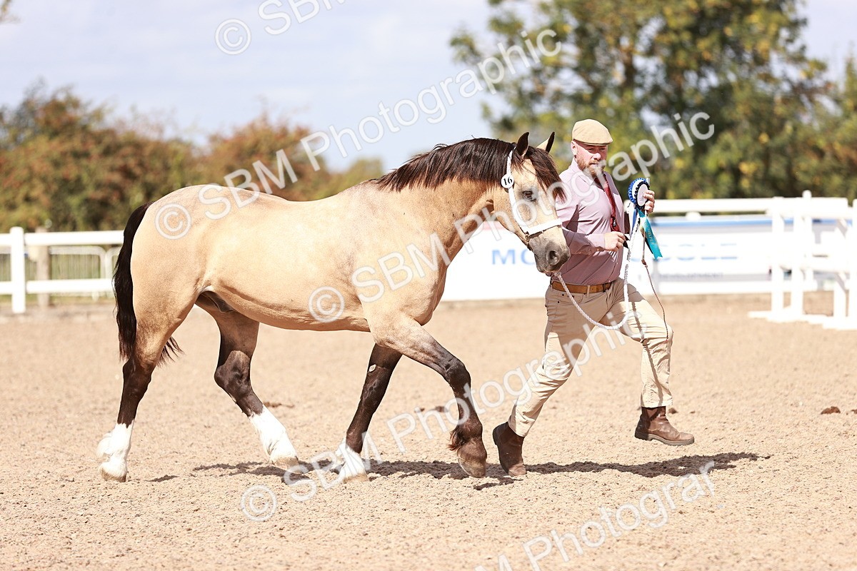 SBM_23031 - Class 707 - IH groom Helpers Class