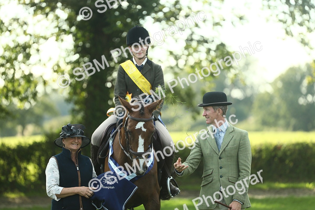 SBM_52311 - Working Hunter Supreme Championship