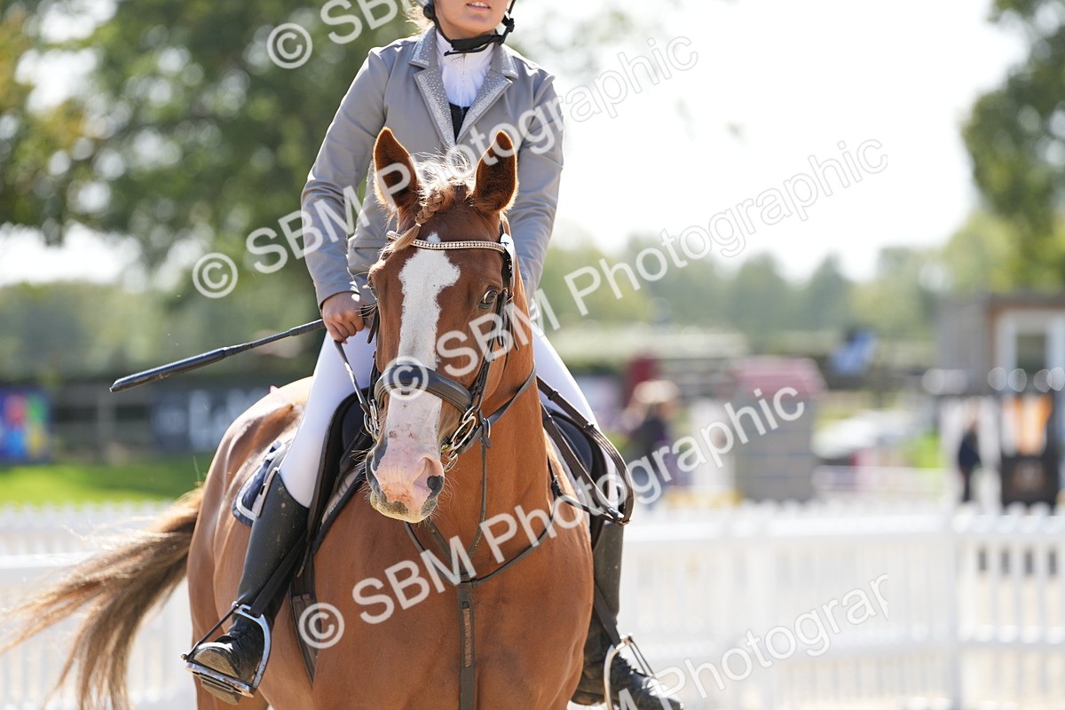 SBM_18016 - J58 - Clear Round 50cm