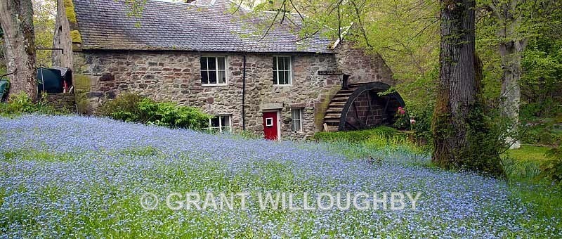 The Old Mill Fodderty (panorama) - Panorama