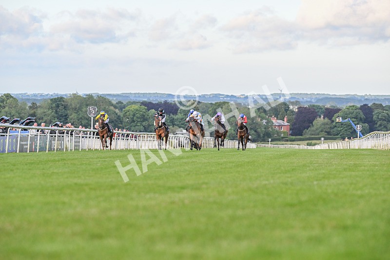 180624-Race 4-Distinction-8633 - Race 4