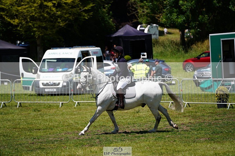 240629X-125424-4968 - 172-Anne_Marie_Hart-ARKMIRE_MR_SLIPPER