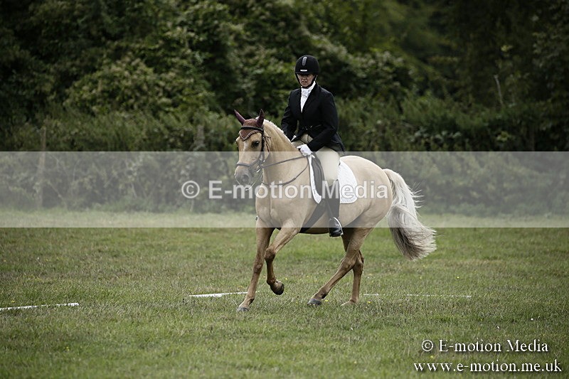 BVR080918 304 - BVRC Novice Dressage & CR 08/09/18