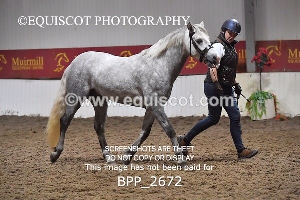 BPP_2672 - LOOSE JUMPING / SPSS