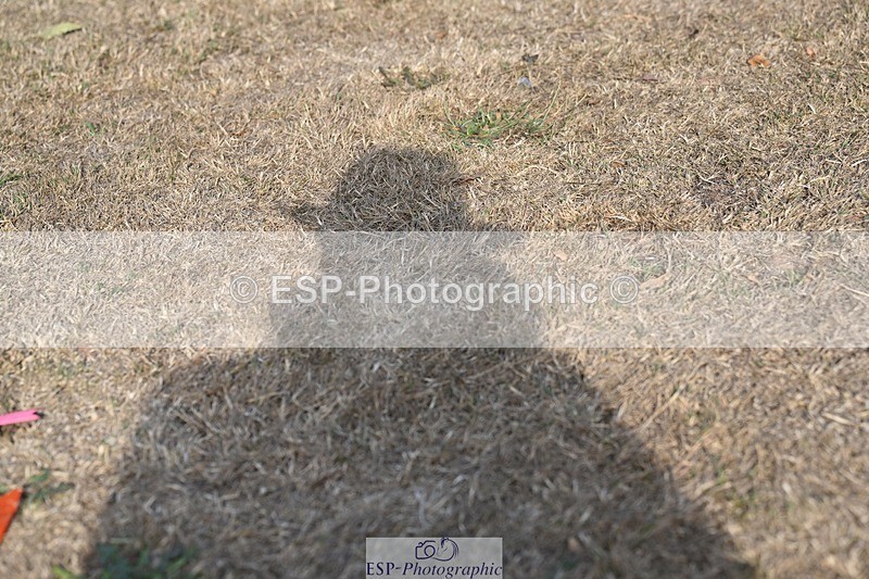 250821A-164711-18117 - All Presentations