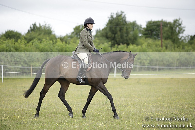 BVR160717-445 - Ring 1 BVRC Show 16/07/17