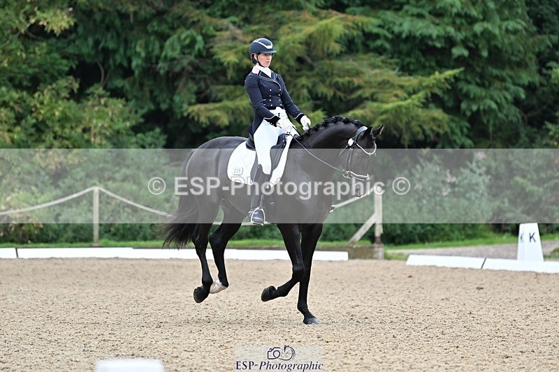 240810-102919-02676 - 235-Rebecca.Cowderoy-Nights.Dream